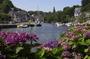 Petit port devant des hortensias