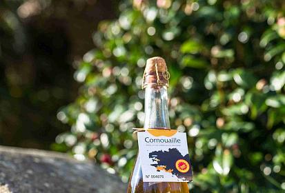 L'AOP Cornouaille, le seul cidre en AOP de Bretagne